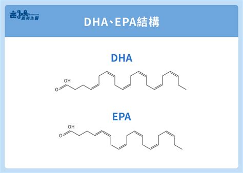 epa結構|(EPA)の 生理機能